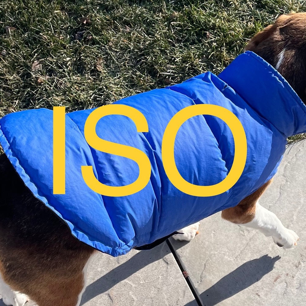 ISO Down Dog Puffer Vest/Jacket